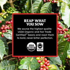 Light Roast + Espresso Roast Bundle